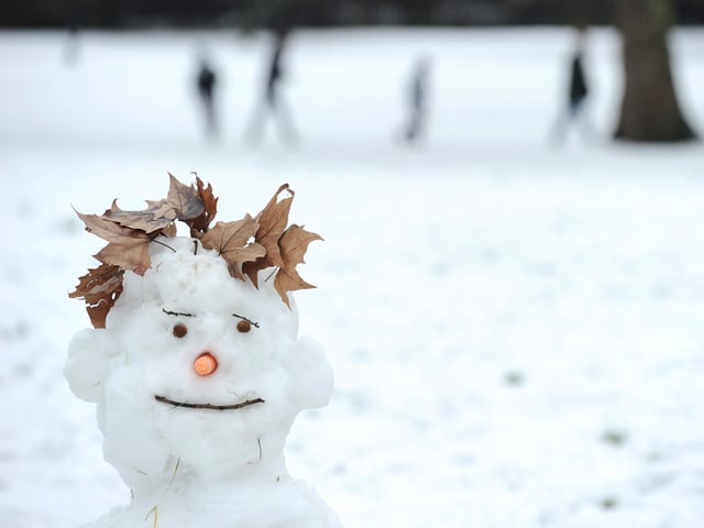 Schneemann mit Blätterhaaren
