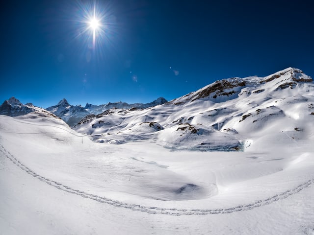 Hochalpen mit Schneefeld. Darin sind Spuren zu erkennen. Die Sonne scheint und der Himmel ist tiefblau.