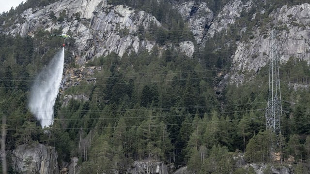Löschhelikopter in Waldgebiet Löschhelikopter in Waldgebiet