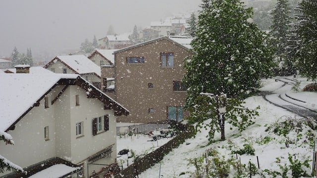 Am 20. Mai 2015 schneite es beispielsweise in Scuol auch ganz kräftig. Am 20. Mai 2015 schneite es beispielsweise in Scuol auch ganz kräftig.