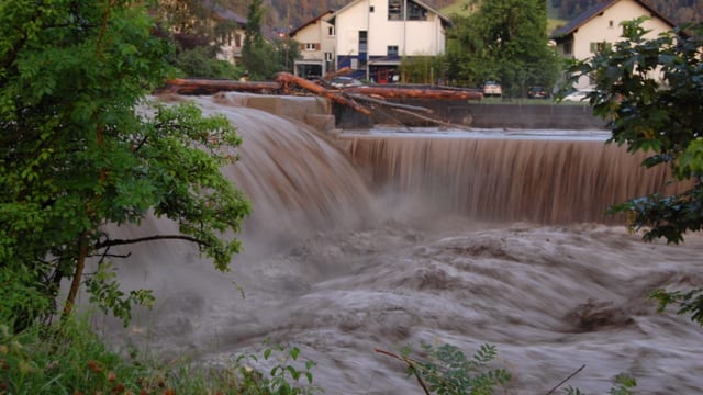 Viel Wasser im Fluss mit Schwemmholz. Viel Wasser im Fluss mit Schwemmholz.
