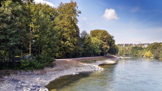 Noch unbewachsenes Flussufer mit neu gestalteten Buchten Noch unbewachsenes Flussufer mit neu gestalteten Buchten