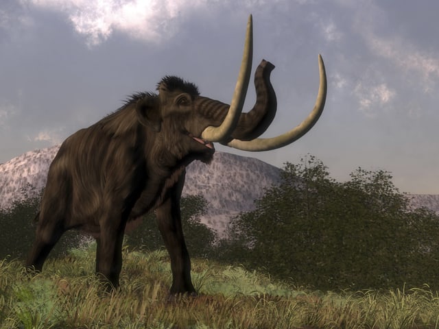 Ein Mammut vor einer Bergkette. Ein Mammut vor einer Bergkette.