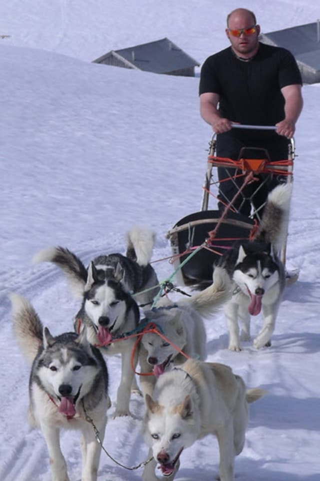 Florian Hofmann besitzt selbst 3 Schlittenhunde und steht in seiner Freizeit gerne auf dem Schlitten. Florian Hofmann besitzt selbst 3 Schlittenhunde und steht in seiner Freizeit gerne auf dem Schlitten.