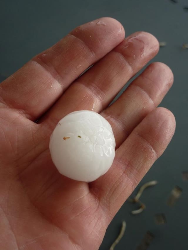 Hagelkorn auf Hand