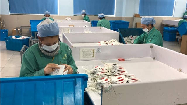 Personen in grüner Kleidung und mit Gesichtsmasken bei der Arbeit. Personen in grüner Kleidung und mit Gesichtsmasken bei der Arbeit.