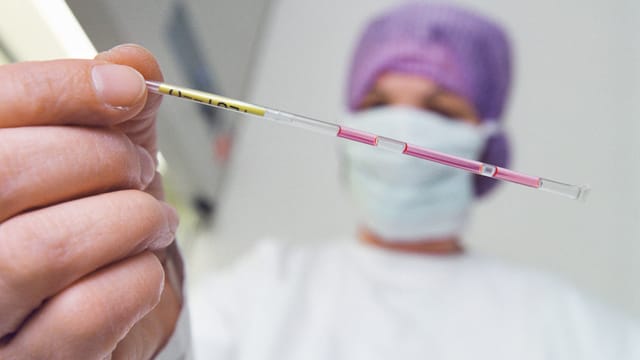 Eine Klinikangestellte hält ein Röhrchen mit befruchteten Eizellen in der Hand. Eine Klinikangestellte hält ein Röhrchen mit befruchteten Eizellen in der Hand.