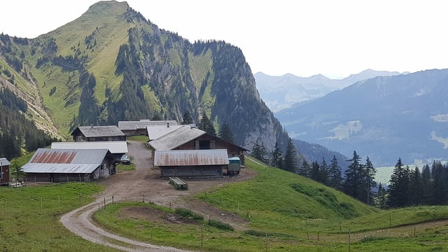 Häuser und Ställe auf einer Alp. Häuser und Ställe auf einer Alp.