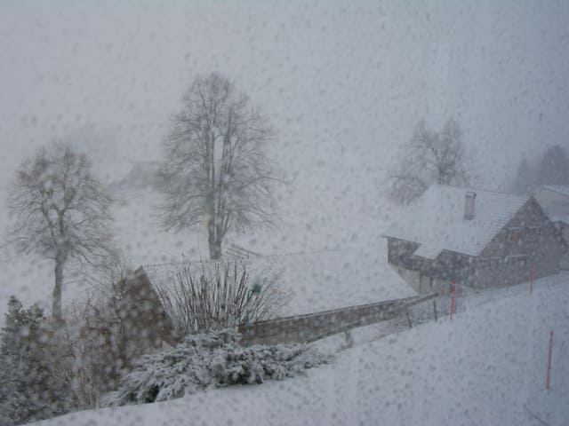 Schneegestöber in Speicher/AR. Schneegestöber in Speicher/AR.