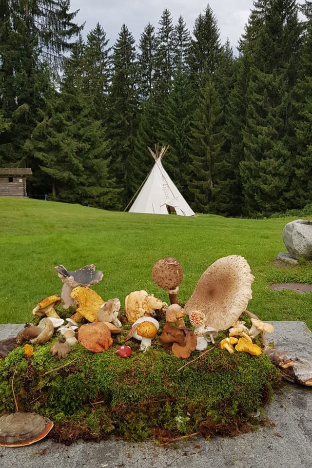 Cussegliaziun da bulieus Surselva.