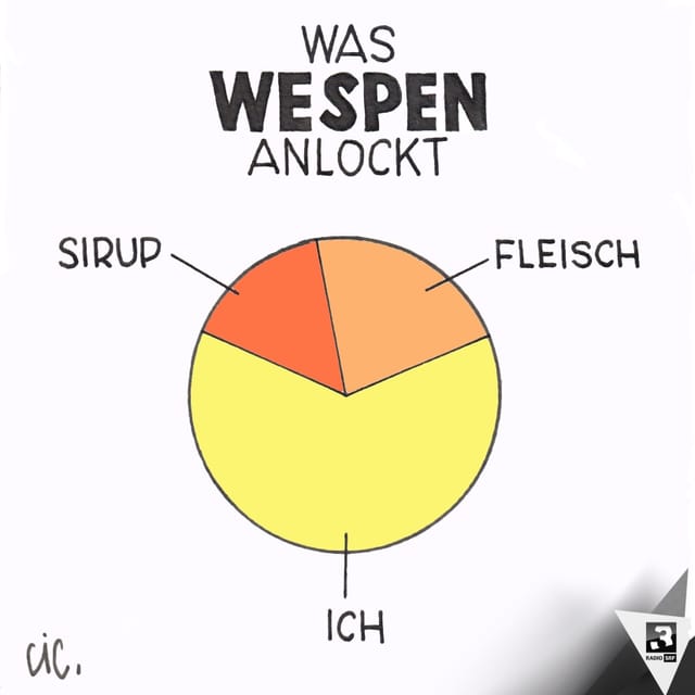 CIC / Stephan Lütolf CIC / Stephan Lütolf