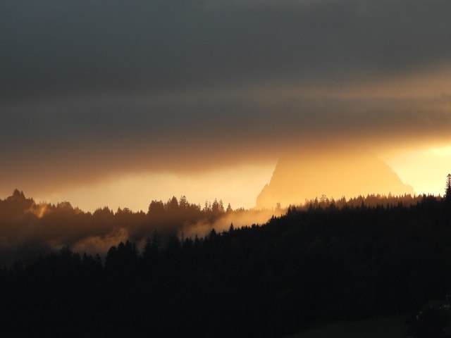 Goldene Sonnenstrahlen vor, und zwischen dunkler Wolkendecke und dunklem Wald