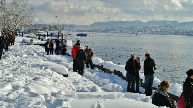 Tiefverschneite Seepromenade am Zürichsee. Tiefverschneite Seepromenade am Zürichsee.