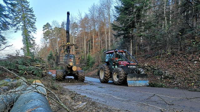 Traktoren im Wald Traktoren im Wald