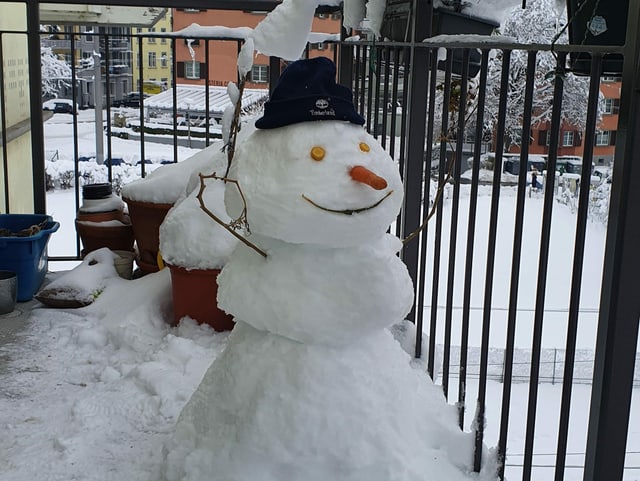 Ein Schneemann namens Gaudenz