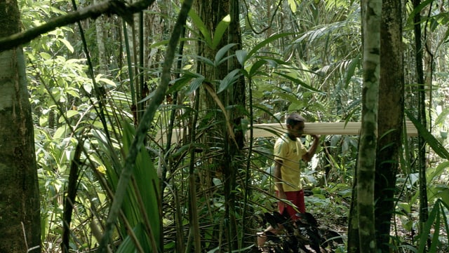 Video «Walden. Ein Kunstprojekt» abspielen Video «Walden. Ein Kunstprojekt» abspielen