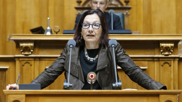 Gilli spricht 2015 im Nationalrat Gilli spricht 2015 im Nationalrat