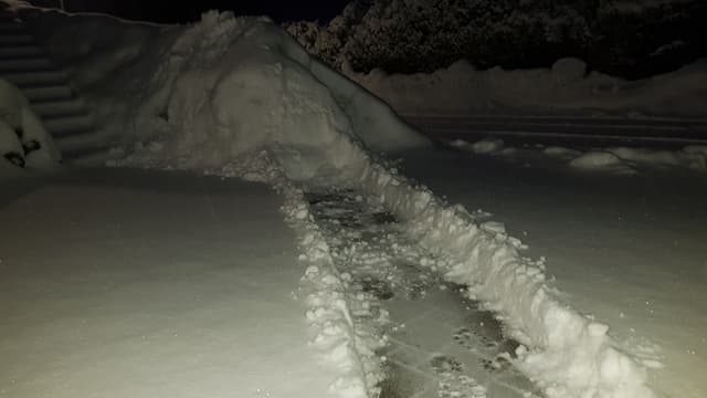 Freigeschaufelter Weg durch einen Garten. Freigeschaufelter Weg durch einen Garten.