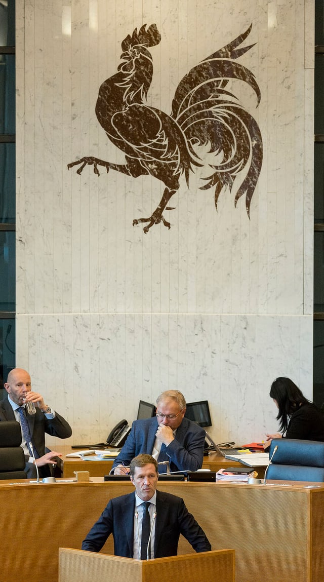 Mann reitet auf Pferd auf grüner Wiese, im Hintergrund Stadtgebäude. Mann reitet auf Pferd auf grüner Wiese, im Hintergrund Stadtgebäude.