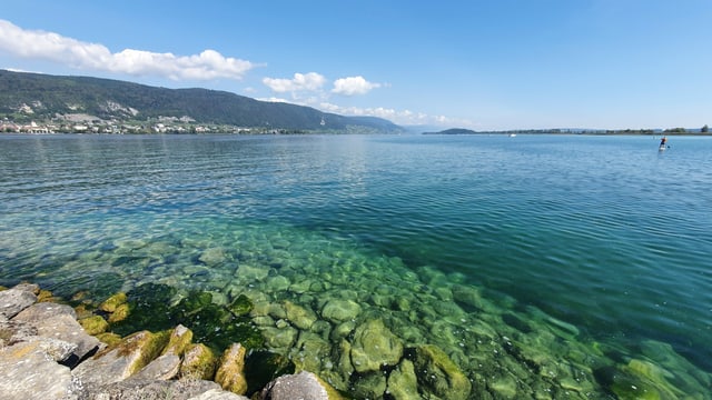 Blick von Erlach auf den Bielersee, der einen tiefen Wasserstand hat. Blick von Erlach auf den Bielersee, der einen tiefen Wasserstand hat.