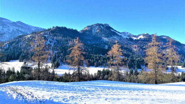 Schneebedeckte Landschaft mit stahlblauem Morgenhimmel. Schneebedeckte Landschaft mit stahlblauem Morgenhimmel.