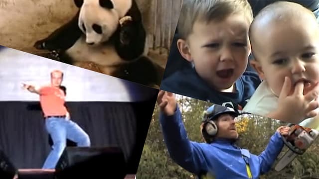 Vier Standbilder von Youtube-Videos Vier Standbilder von Youtube-Videos