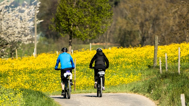 Zwei Radfahrer auf Kiesstrasse Zwei Radfahrer auf Kiesstrasse