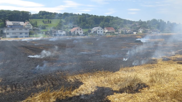 Rauch über verbrannter Erde vor Siedlung. Rauch über verbrannter Erde vor Siedlung.