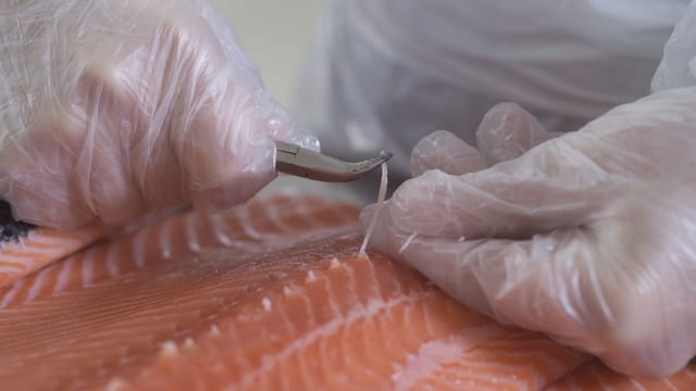 Lachs Lachs