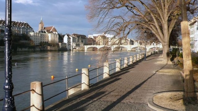 Der Rhein in Basel - links ist die Grossbasler Seite sichtbar, rechts ein Baum Der Rhein in Basel - links ist die Grossbasler Seite sichtbar, rechts ein Baum