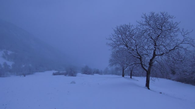 Cuntrada d'enviern Cuntrada d'enviern