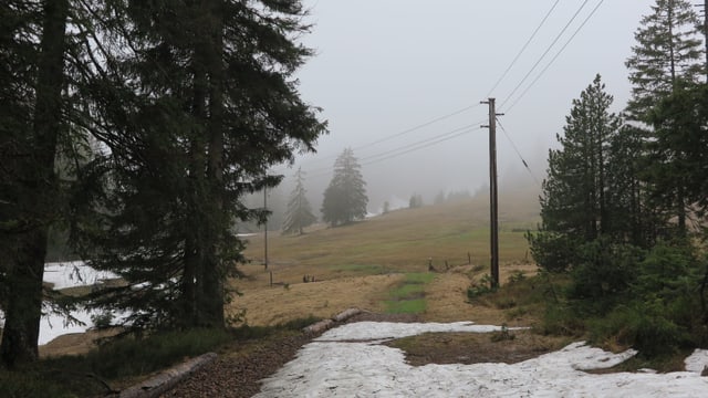 Eine Stromleitung über einen schneebedeckten Weg im Moorgebiet Ibergeregg. Eine Stromleitung über einen schneebedeckten Weg im Moorgebiet Ibergeregg.