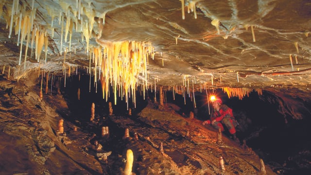 Ein Höhlenforscher erkundet eine Höhle mit Stalaktiten. Ein Höhlenforscher erkundet eine Höhle mit Stalaktiten.