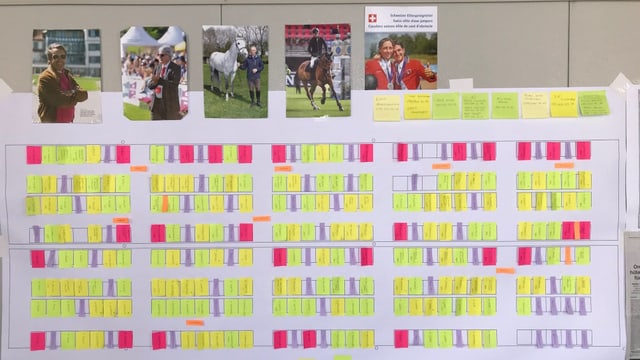 Aufteilung für den CSIO Stall Aufteilung für den CSIO Stall