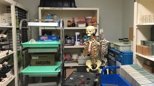 Zimmer mit Skelett, Büchern und Mikroskopen. Zimmer mit Skelett, Büchern und Mikroskopen.
