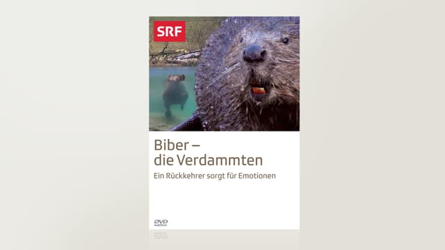 Biber - die Verdammten Biber - die Verdammten