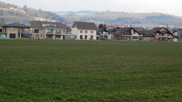 Grosse Wiese, begrenzt durch Einfamilienhäuser. Grosse Wiese, begrenzt durch Einfamilienhäuser.