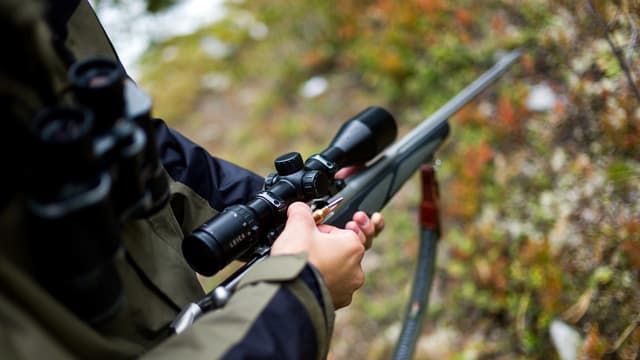 Ein Jagdgewehr in den Händen eines Jägers Ein Jagdgewehr in den Händen eines Jägers