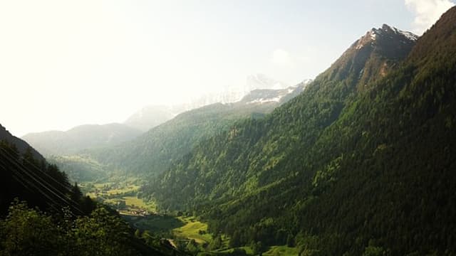 Frühmorgens war die Welt noch in Ordnung Frühmorgens war die Welt noch in Ordnung