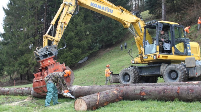 Bagger bei der Arbeit. In seiner Zange ist ein Baumstamm. Daneben liegen weitere Baumstämme. Bagger bei der Arbeit. In seiner Zange ist ein Baumstamm. Daneben liegen weitere Baumstämme.