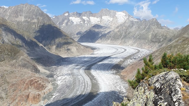 Blick auf den Aletschgletscher Blick auf den Aletschgletscher