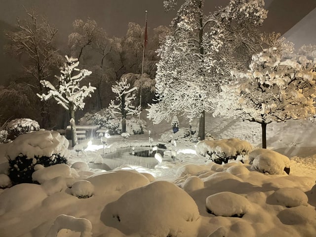 Verschneiter Garten in der Nacht mit Lichtern
