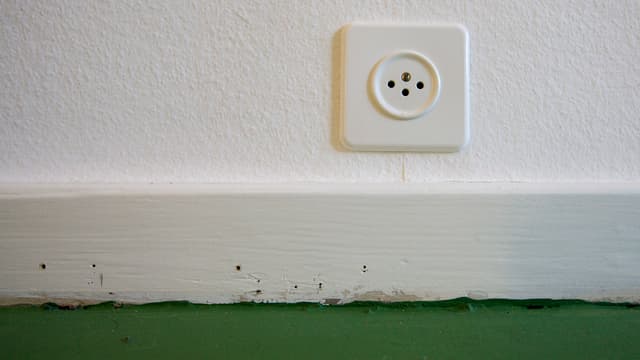 Eine Steckdose in einer Wohnung Eine Steckdose in einer Wohnung