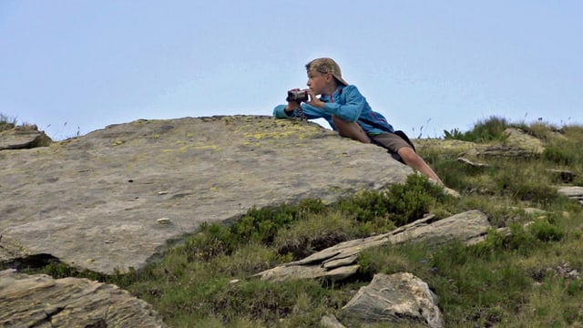 Schweizer Jugend filmt ... wilde Tiere ! Schweizer Jugend filmt ... wilde Tiere !
