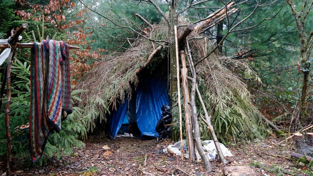 Hütte aus Ästen und Planen im Bremgartenwald. Hütte aus Ästen und Planen im Bremgartenwald.