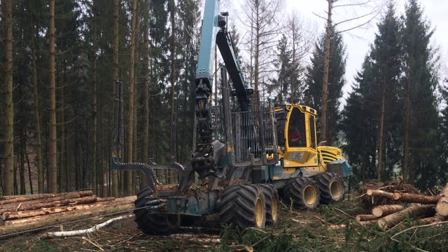 Die Maschine "Vorwarter" bei der Arbeit Die Maschine "Vorwarter" bei der Arbeit
