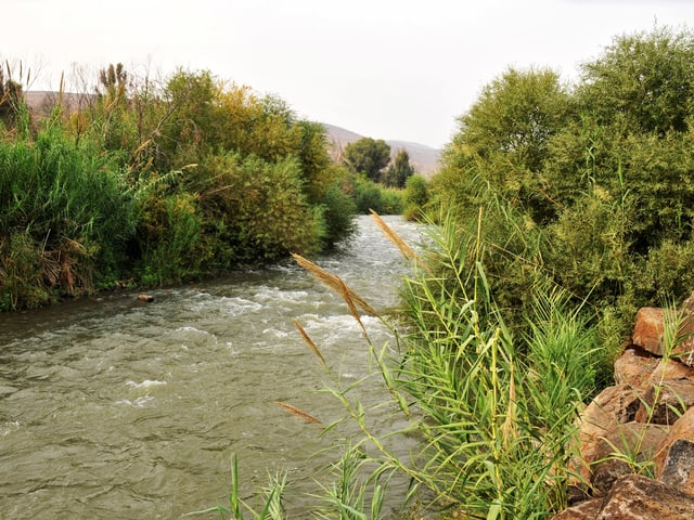 Fluss in grüner Landschaft Fluss in grüner Landschaft