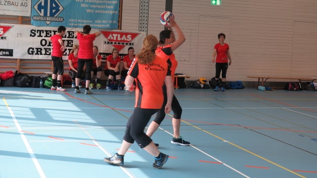 Schnurball Schnurball