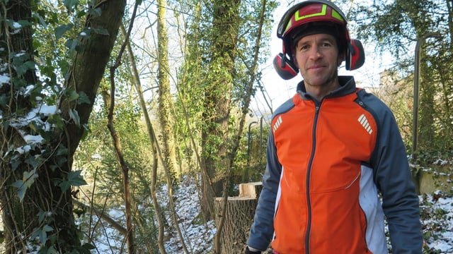 Mann mit Schutzhelm und oranger West im Wald. Mann mit Schutzhelm und oranger West im Wald.