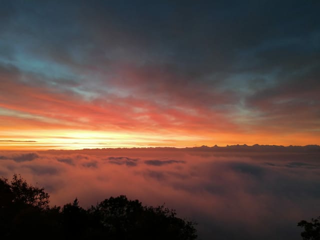 Nebel über dem Mittelland, darüber Blick zu den Alpen mit rosa leuchtenden Wolken